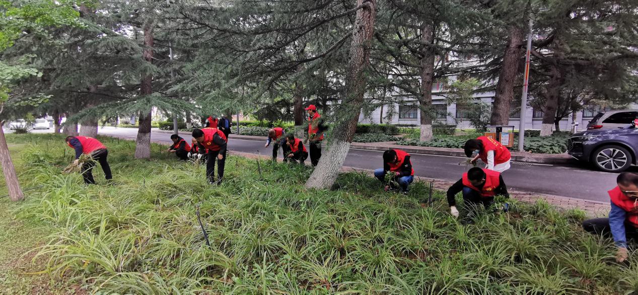 e9518fecd9f1ccb50a5ce7507126efd