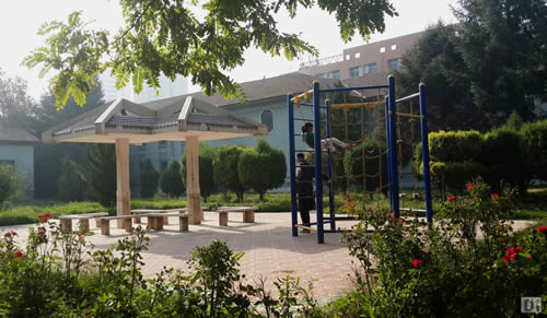 信息技术处简介