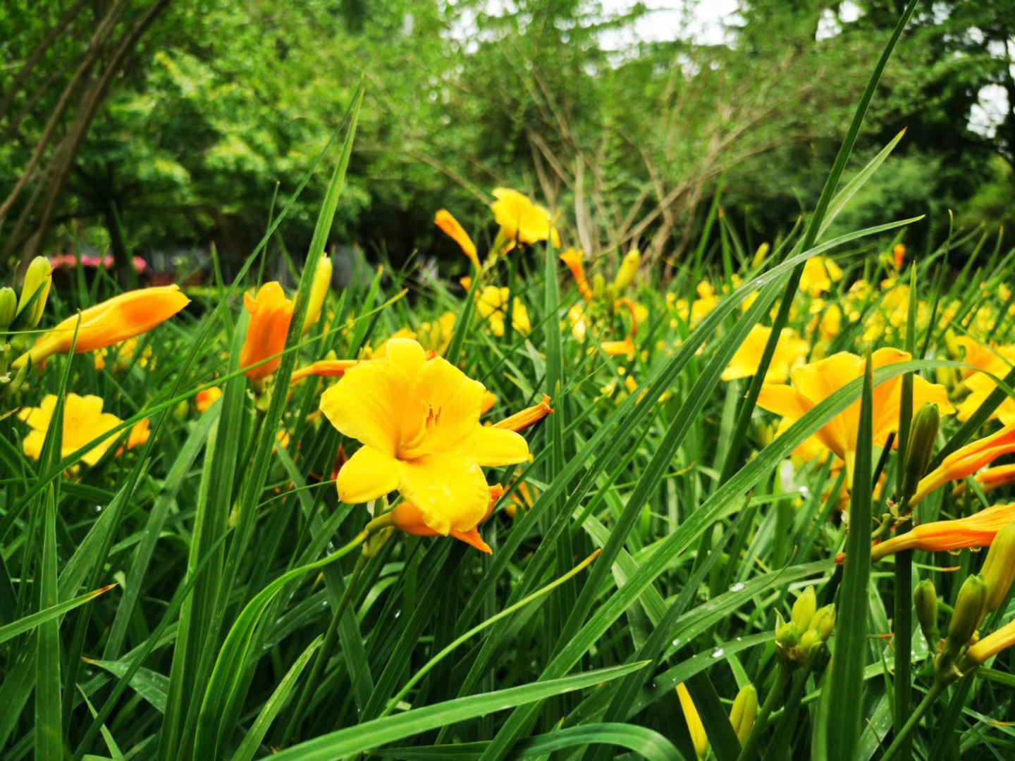 哲学教研部简介