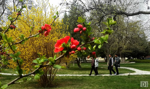 研究室部门简介