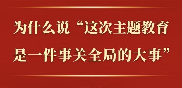 在有机融合、一体推进中扎实开展主题教育