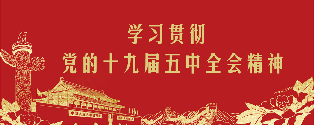 学习贯彻党的十九届五中全会精神